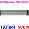 US Large - 50cm