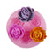 Rosa A