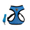 Azul Claro L