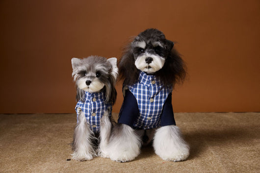 Chaleco Acolchado de Invierno para Perros - Image 9