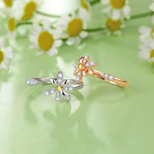 Anillo de Corazón Noria - Diseño Premium Versátil con Fragancia
