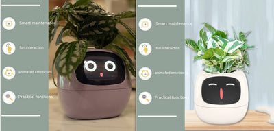 Maceta Inteligente con IA: 49 Expresiones y 7 Sensores para Plantas Felices - Image 70