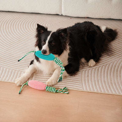 Juguete Masticable Dental para Cachorros - Limpieza de Dientes e Interactivo - Image 10
