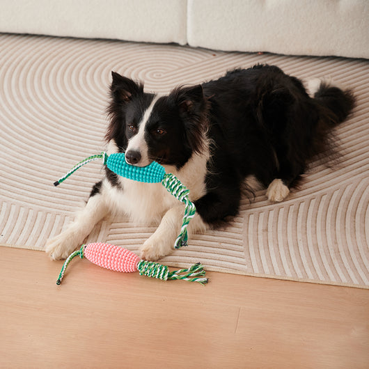 Juguete Masticable Dental para Cachorros - Limpieza de Dientes e Interactivo - Image 10