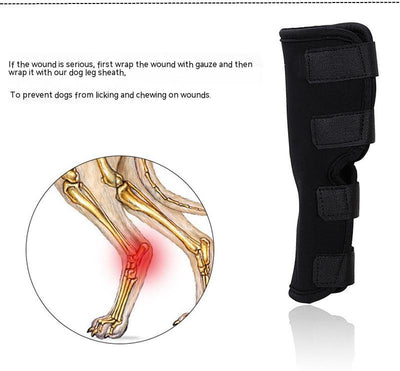 Rodillera Protectora para Perros con Soporte Antilamido y Recuperación Articular - Image 11