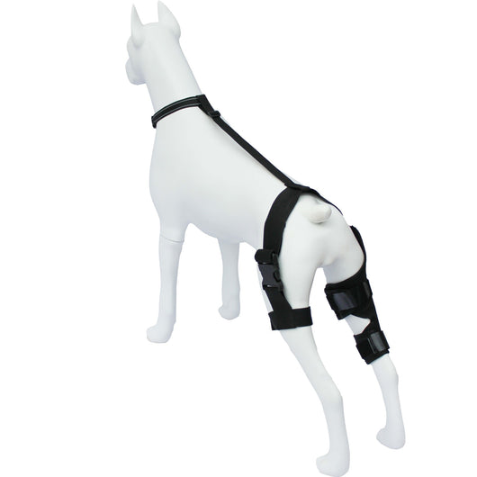 Refuerzo de Rodilla para Perros - Soporte para Patas Traseras - Image 4