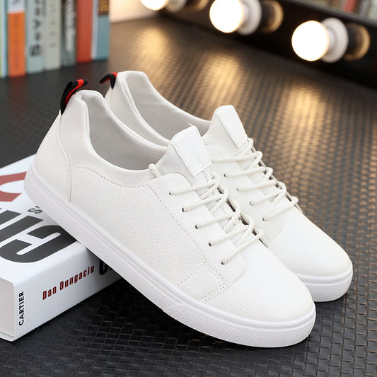 Zapatos Deportivos y Casuales para Hombre