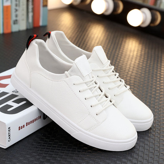 Zapatos Deportivos y Casuales para Hombre