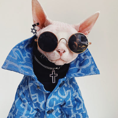 Chamarra de Mezclilla para Gatos sin Pelo Devon Rex - Estilo Trendy - Image 2