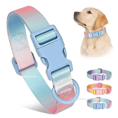 Collar Ajustable para Perros y Gatos - Diseño Degradado Moderno