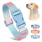 Collar Ajustable para Perros y Gatos - Diseño Degradado Moderno