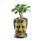 Maceta Decorativa Personalizada Frankenstein - Contenedor de Resina para Escritorio