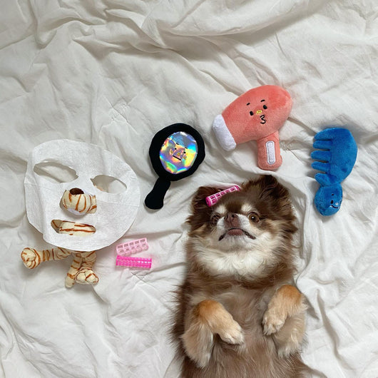Set de 3 Juguetes para Perros con Limpieza, Soplado y Masaje - Image 5