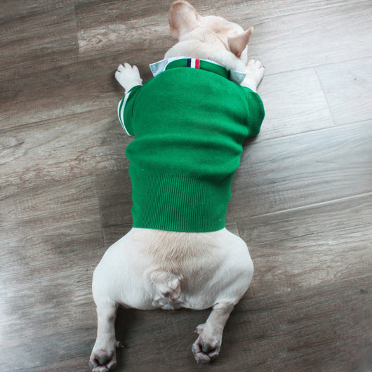 Suéter Navideño para Mascotas - Abrigo Cálido para Perros Pequeños y Gatos - Image 11