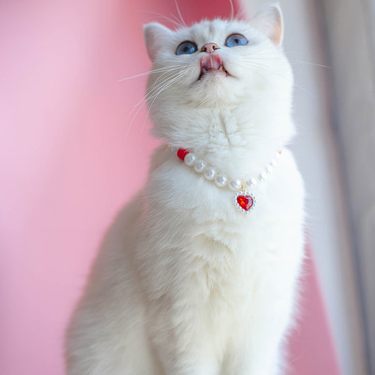 Collar de Cuentas para Gatos Amor y Conexión - Image 2