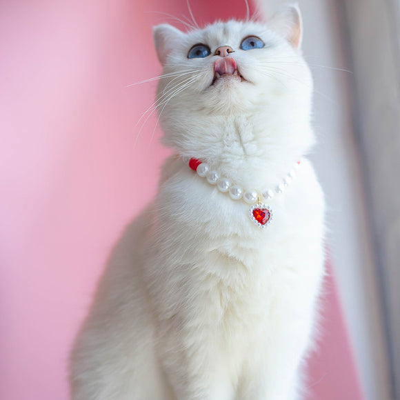 Collar de Cuentas para Gatos Amor y Conexión
