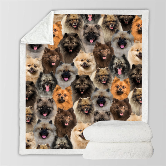 Manta Flanela Estampada para Perros de Moda - Image 70
