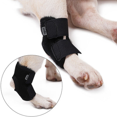 Collarín de Inmovilización Anti Lamido para Mascotas - Image 6