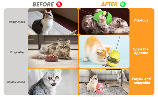 Juguete Dispensador de Premios para Gatos - Alimentador Interactivo para Entrenamiento Mental - Image 11