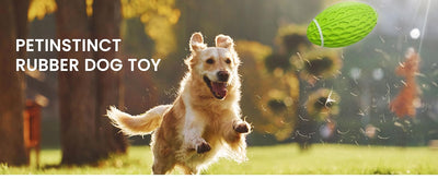 Juguete de Rugby Resistente para Perros Grandes - Diseño Duradero con Sonido Chirriante - Image 21