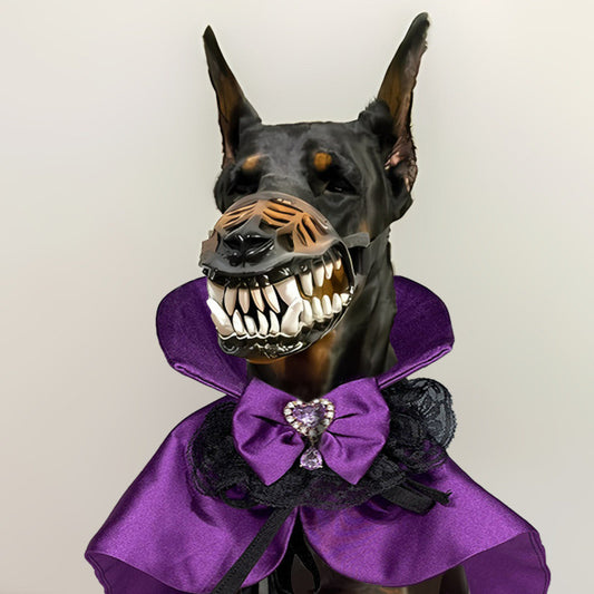 Disfraz de Halloween para Mascotas - Traje Teddy para Gatos y Perros - Image 2