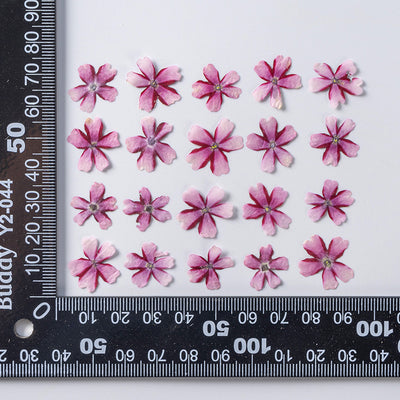 Marcapáginas con Flor de Cerezo Deshidratada - Accesorio Ornamental con Espécimen Botánico - Image 6