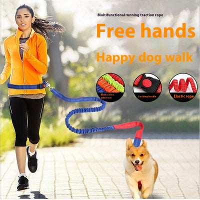 Correa Reflectante para Perros con Elástico - Ideal para Correr de Noche