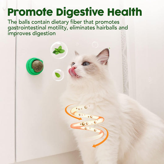 Juguetes de Catnip para Gatos - Set 4 Bolas Energéticas con Silvervine y Limpieza Dental - Image 5
