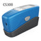 CS300