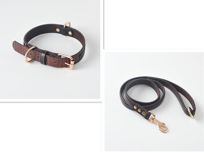 Correa y Collar para Perro - Sistema de Control Seguro - Image 11
