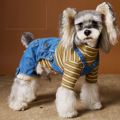 Ropa de Invierno para Perros Pequeños - Jeans Acolchado Térmico