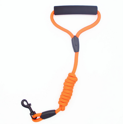Collar Reflectante de Nylon para Perros con Cuerda - Image 15
