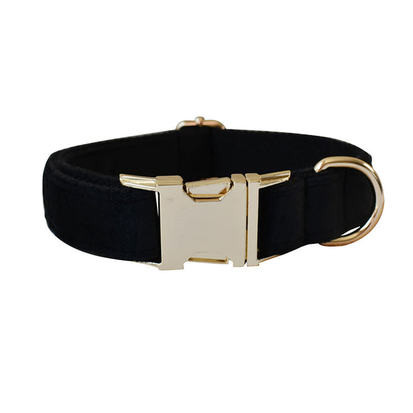 Correa y Collar Doble Capa de Microfibra con Hebilla Oro Rosa