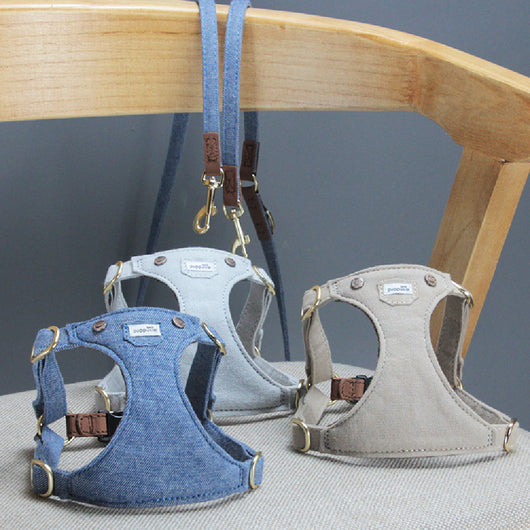Arnés Ajustable para Perros Pequeños - Diseño Teddy Adorable - Image 17