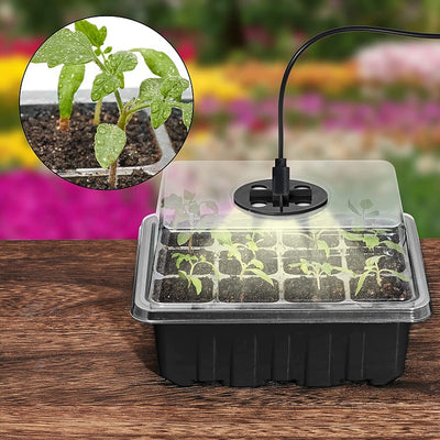 Bandeja de Germinación 12 Celdas con Lámpara LED