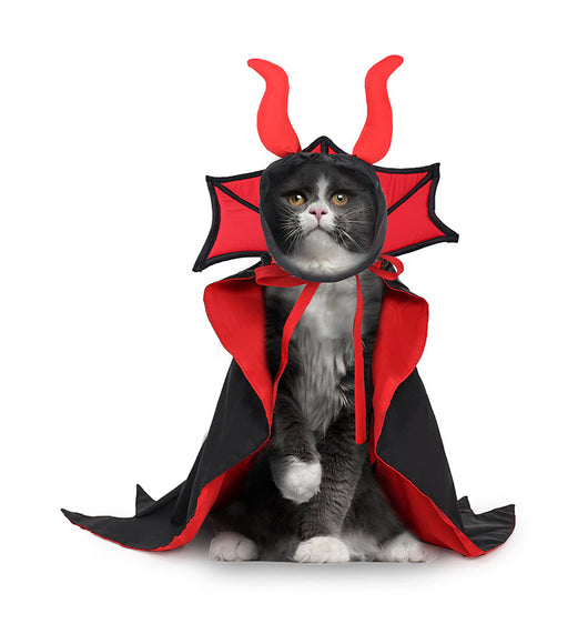 Disfraz de Vampiro para Mascotas con Capa y Sombrero - Image 13