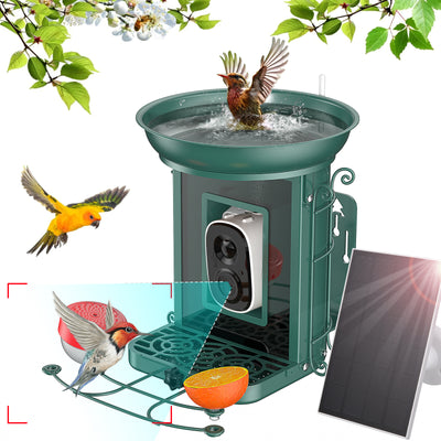 Comedero Inteligente para Aves con Energía Solar e IA - Image 6