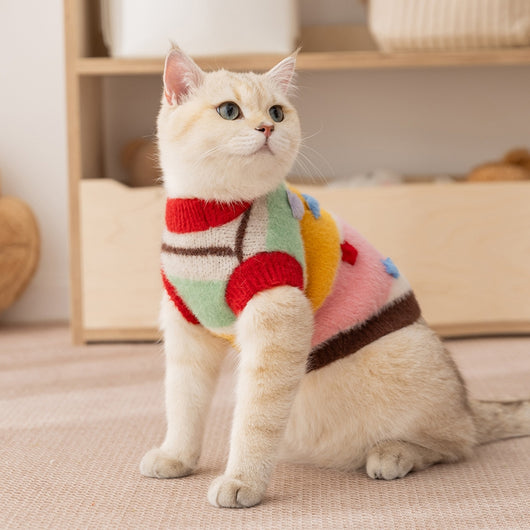 Suéter a Juego para Mascotas: Diseño de Estrellas y Rayas Otoño-Invierno - Image 21