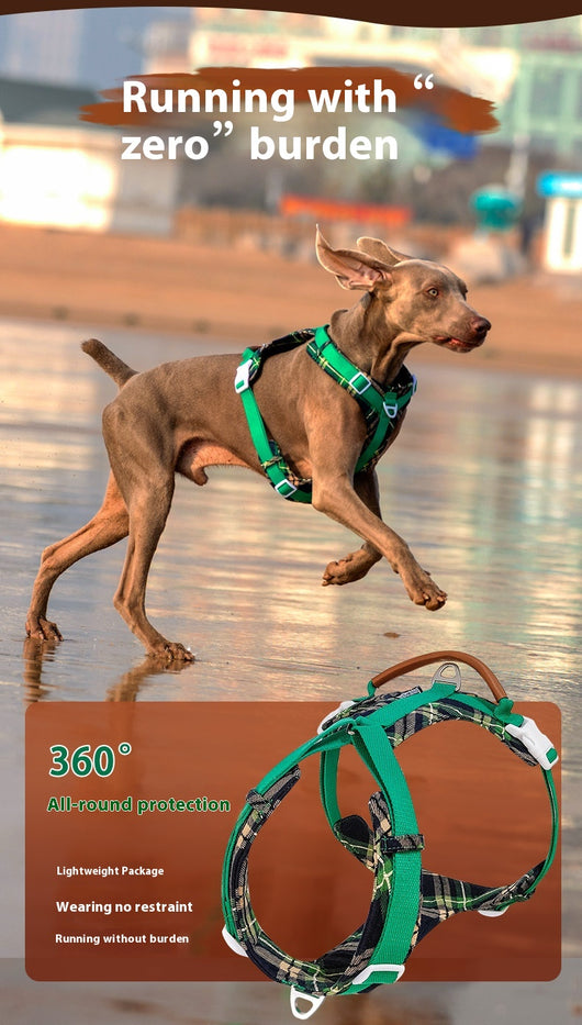 Arnés de Pecho para Perros con Correa de Fácil Colocación - Image 9