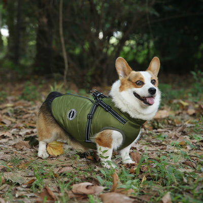 Ropa Térmica Multicolor para Mascotas - Abrigo Personalizado - Image 17