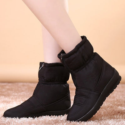 Zapatos de Confort Premium