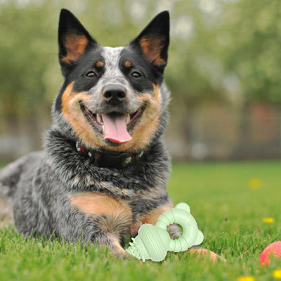 Juguete Masticable de Goma para Limpiar Dientes - Mordedor Resistente para Perros Grandes - Image 7