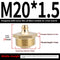 M 20 X 15 2 Recto Mediano