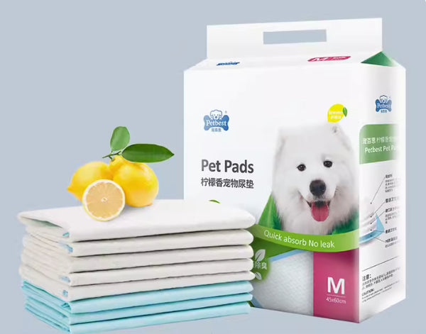 Pañales Absorbentes Reforzados para Mascotas