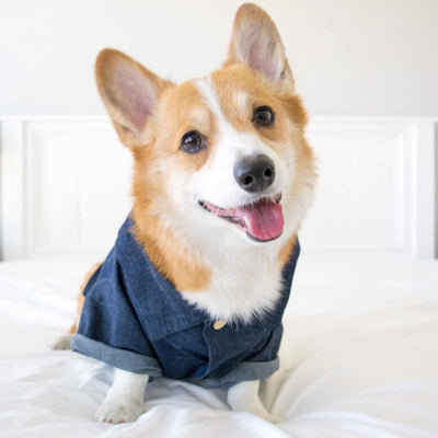 Playera Estilo Europeo y Americano con Diseño de Corgi y Shiba Inu - Image 7