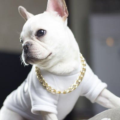 Collar Metálico Elegante y Dominante para Mascotas - Image 12