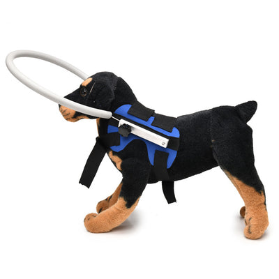 Anillo Anticolisión para Perros Ciegos - Image 3