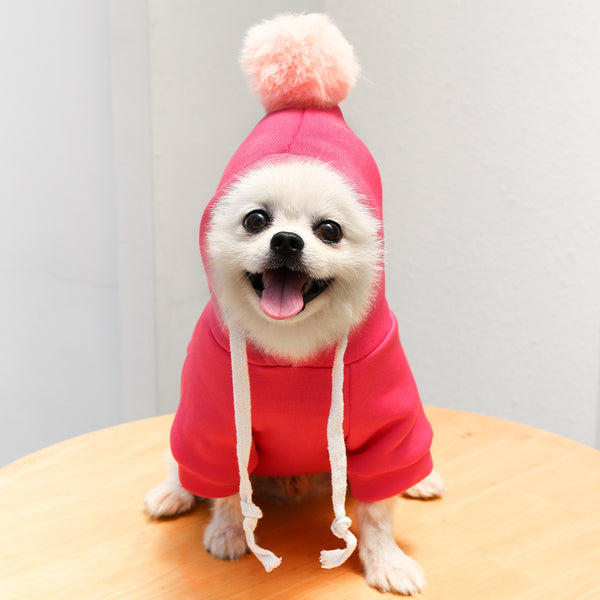 Suéter Otoñal con Diseño de Perro y Gato para Mascotas