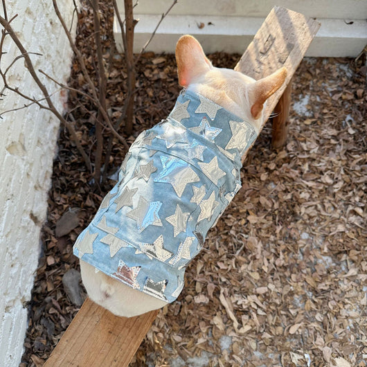 Chaleco Denim Fresco para Mascotas - Perros y Gatos Verano - Image 13