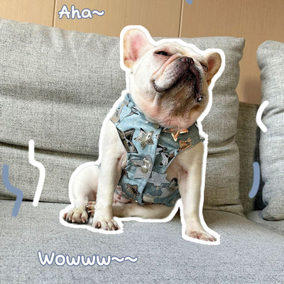 Chaleco Denim Fresco para Mascotas - Perros y Gatos Verano - Image 8